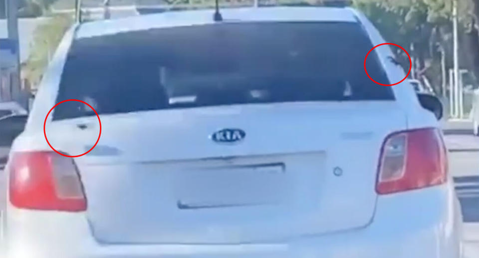 Two spiders are pictured on the back of a Kia Rio in Adelaide. Source: Instagram @shitadelaide/@dominique_zeccola