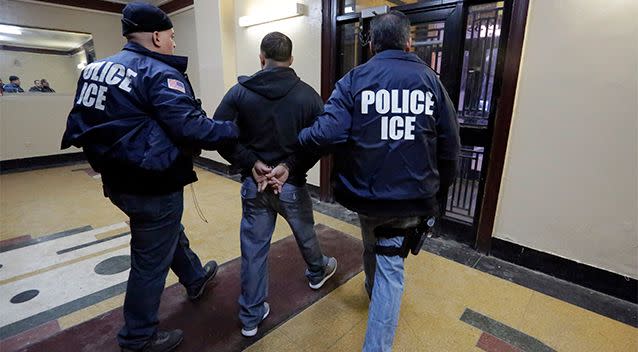Immigration and Customs Enforcement officers walk an arrested man from an appartment building. Photo: AP