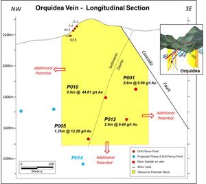 Longitudinal section along the Orquidea Vein showing drilling and sampling to date with an estimated minimum resource potential block (yellow area).  The weighted average of the four drill intersections is 1.86m @ 12.68 g/t gold compared to the 2.0m @ 10 g/t assumed in the 3/19/2021 resource potential estimate.
