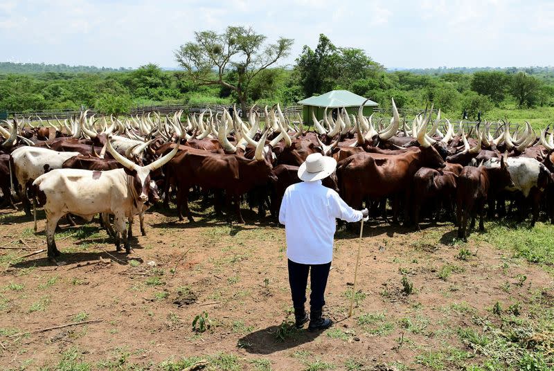 Uganda's President Yoweri Museveni wants trade barriers to come down, in Kisozi