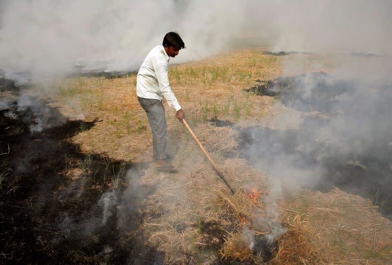 FILE PHOTO: A farmer burns paddy waste stubble in a field on the outskirts of Ahmedabad