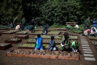 <p>It was former First Lady Michelle Obama's idea to have a garden planted for varying uses, including educating children on the importance of healthy eating...</p>
