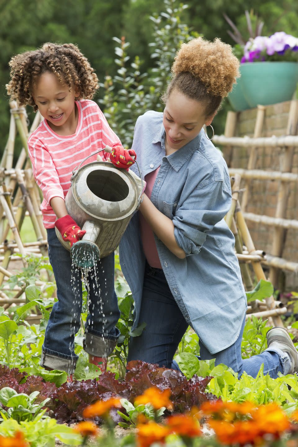 WITH YOUR DAUGHTER: Plant a tree in your yard.