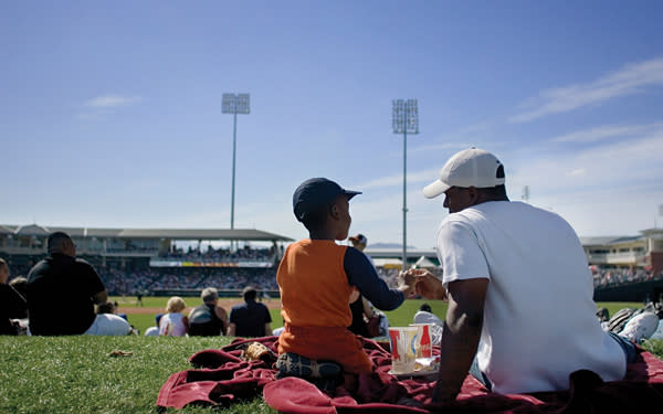 Spring Training baseball fans in Phoenix