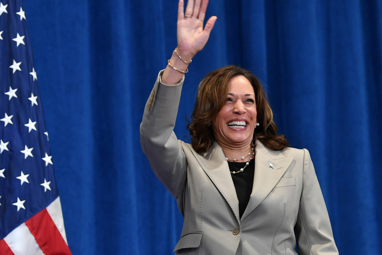 Kamala Harris Getty Images / Peter Zay / Anadolu 