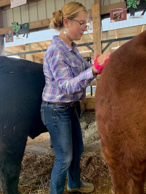 Regan Noga tends to her cow, “Pretty Red,” Sunday at the St. Joseph County Grange Fair. The Centreville-based fair runs daily through Saturday.