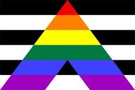 <p>The combination of the black and white stripes and the rainbow represent the allies' support of the LGBTQ+ community. </p>