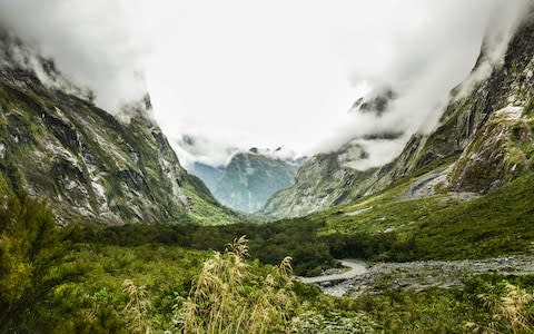 Fiordland National Park, or Fangorn Forest to Hobbit fans - Credit: alamy