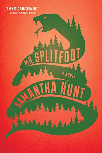 2) 
 Mr. Splitfoot by Samantha Hunt