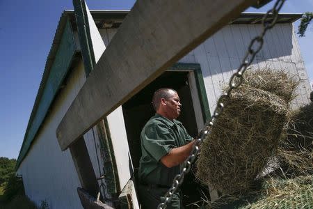 John Cook, an inmate at the State of New York Wallkill Correctional Facility, bales hay on a prison farm in Wallkill, New York June 16, 2014. REUTERS/Shannon Stapleton