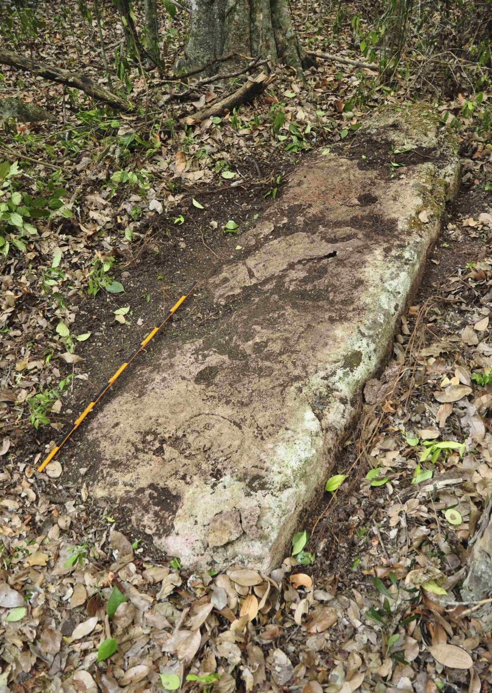 A photograph released to Reuters on August 22, 2014 shows a piece of a stela at an Mayan city in Tamchen April 6, 2014. (REUTERS/Research Center of the Slovenian Academy of Sciences and Arts)