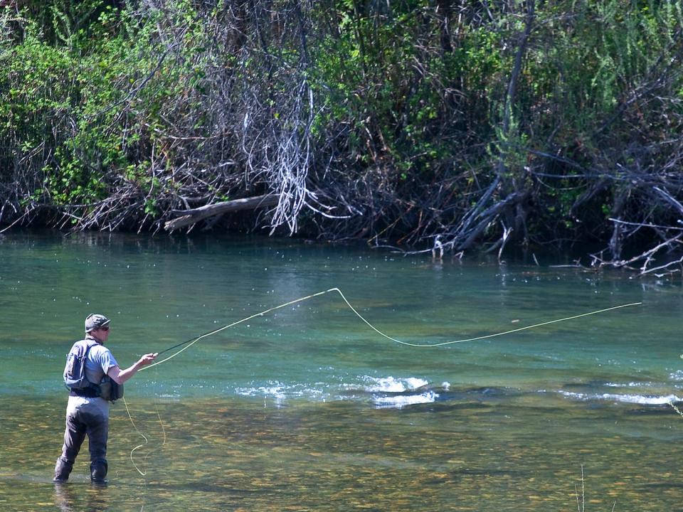 Fishing Fly