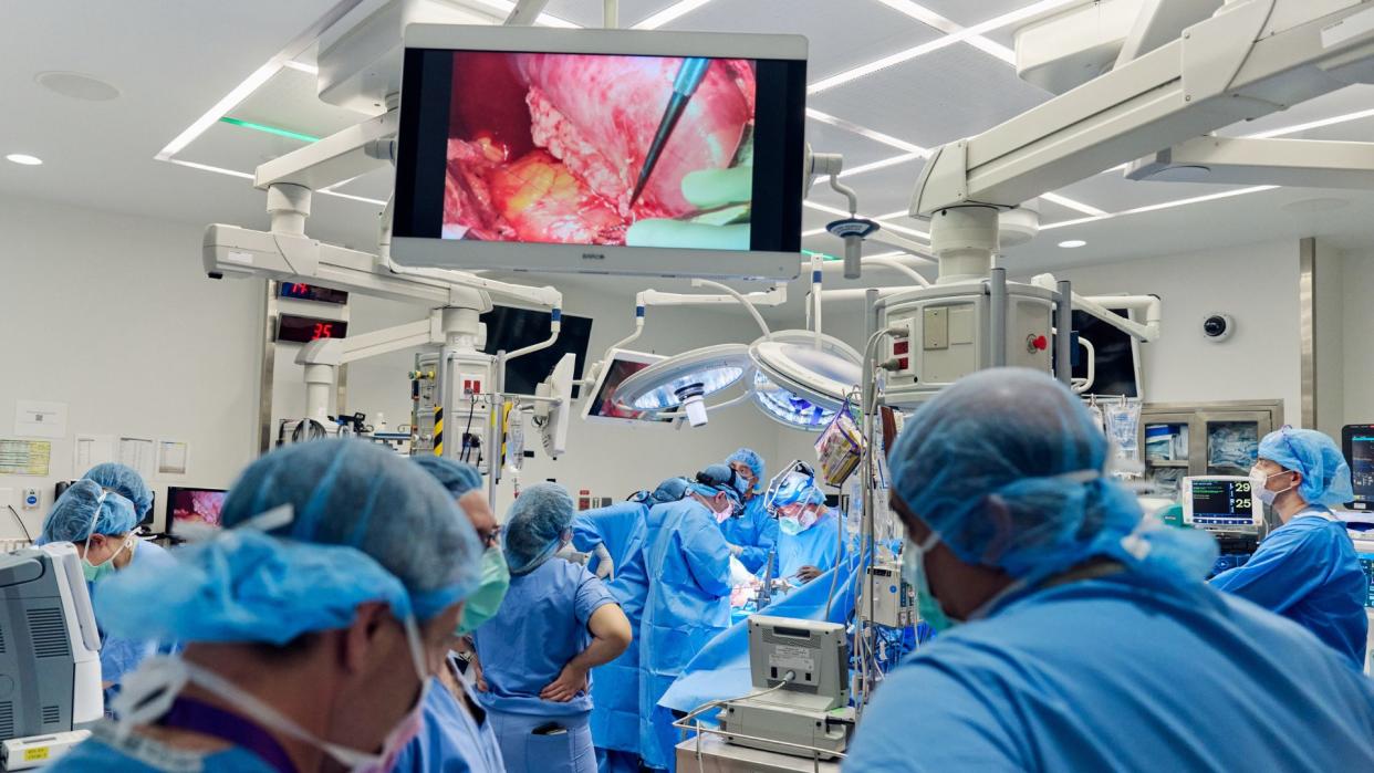  Photo of surgeons in blue scrubs, hair nets and masks gathered near an operating table as a monitor shows a kidney being placed into the patient's body. 