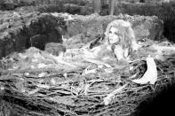 <p>The star played a charming astronaut in <em>Barbarella</em>, a film directed by then-husband Vadim, in 1967.</p>