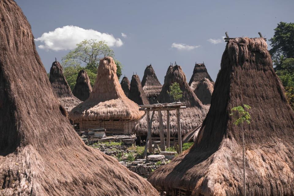 The distinctive thatched dwellings of a local village in Sumba