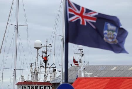 A man climbs onto the pole of a ship in Stanley March 15, 2013. REUTERS/Marcos Brindicci