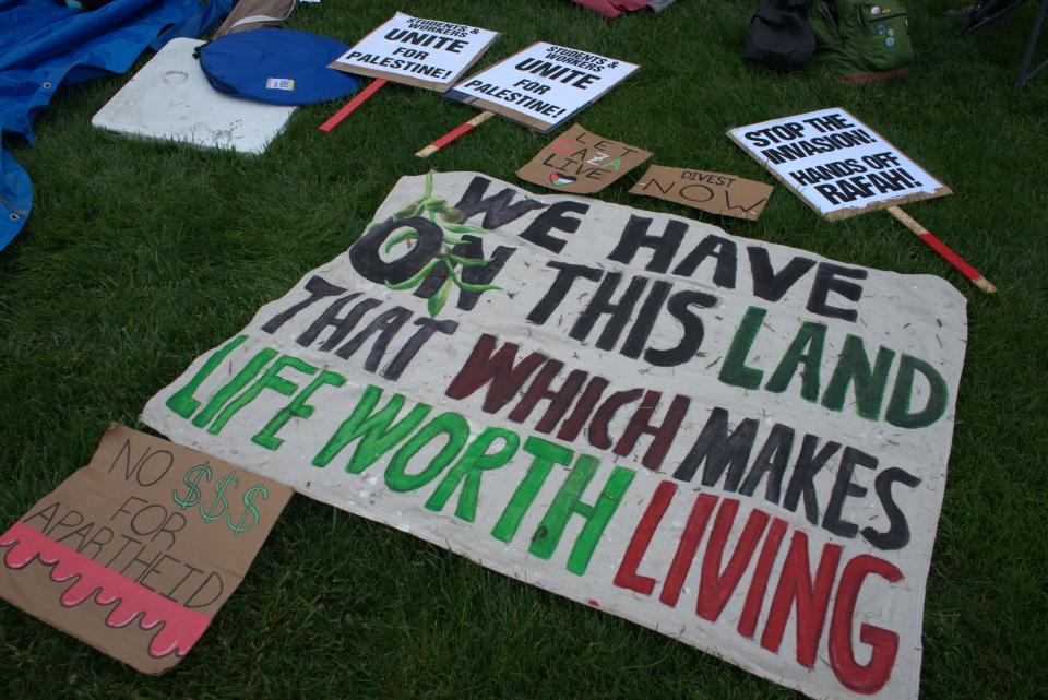 A coalition of UNC Asheville students spread signs protesting the war in Gaza during a "soft encampment" demanding university transparency and divestment from Israel and Israeli companies.