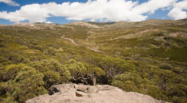 Emergency services are responding to reports a helicopter has crashed in Kosciuszko National Park. Photo: Getty