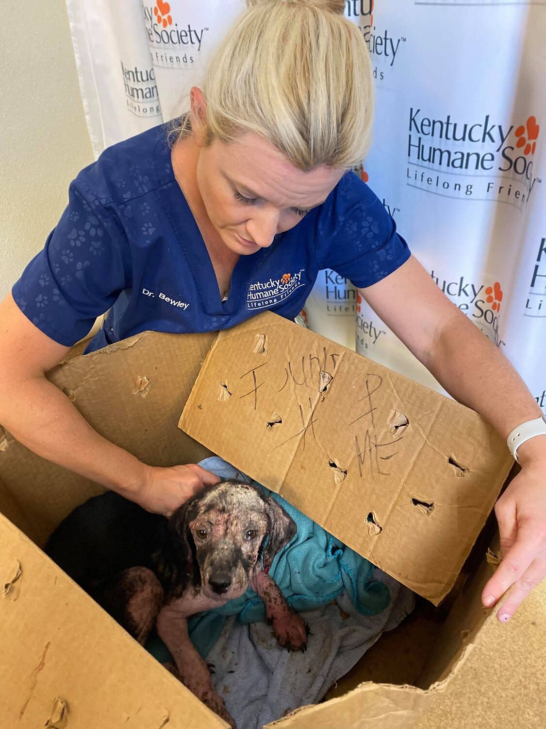 dog found in help me box