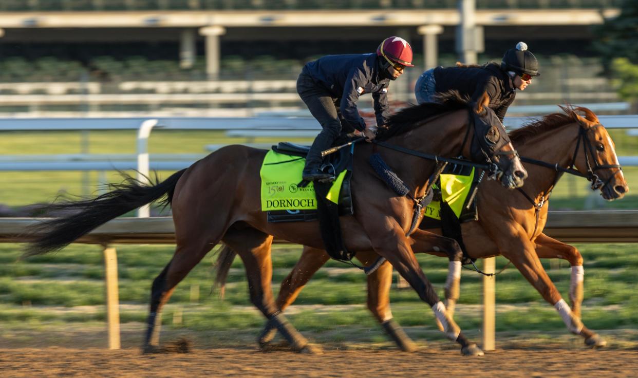 Kentucky Derby hopeful, Dornoch, works out over the Churchill Downs track with a stable mate. Special to the Courier Journal by Pat McDonogh. April 20, 2024
