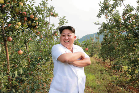 FILE PHOTO: North Korean leader Kim Jong Un gives field guidance to the Taedonggang Combined Fruit Farm in this undated photo released by North Korea's Korean Central News Agency (KCNA) in Pyongyang August 19, 2015. KCNA / via REUTERS/File Photo .