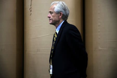 White House trade advisor Peter Navarro looks on as U.S. President Donald Trump participates in a roundtable discussion about trade in Duluth, Minnesota, U.S. June 20, 2018. REUTERS/Jonathan Ernst