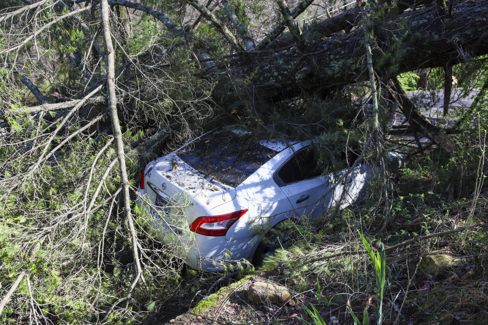 A car parked along Lynda Circle in Red Bank, Tenn. is seen under a fallen tree following storms on Friday, March 3, 2023. (Olivia Ross/Chattanooga Times Free Press via AP)