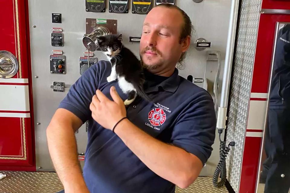 <p>Raynham Fire Department</p> Massachusetts firefighter Dom Kuran reunites with the kitten he helped rescue from a storm drain.