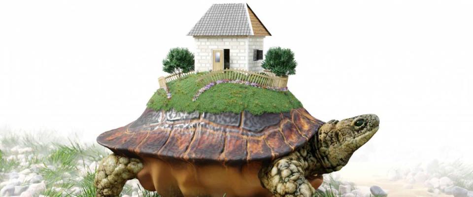 Turtle with toy house from paper real estate business concept photo