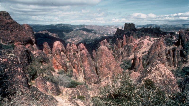 (<a href="https://commons.wikimedia.org/wiki/File:Pinnacles_National_Park_PINN3708.jpg" rel="nofollow noopener" target="_blank" data-ylk="slk:NPS;elm:context_link;itc:0;sec:content-canvas" class="link ">NPS</a>/Public Domain)