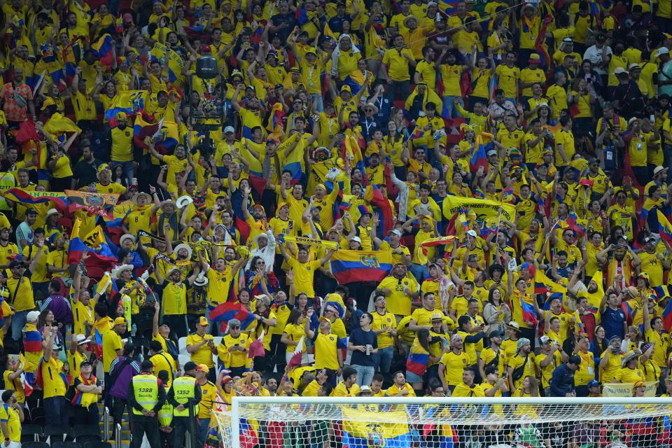 Nov 20, 2022; Al Bayt, Qatar; Ecuador fans cheer before a group stage match during the 2022 FIFA World Cup between Qatar and Ecuador at Al Bayt Stadium. Mandatory Credit: Danielle Parhizkaran-USA TODAY Sports