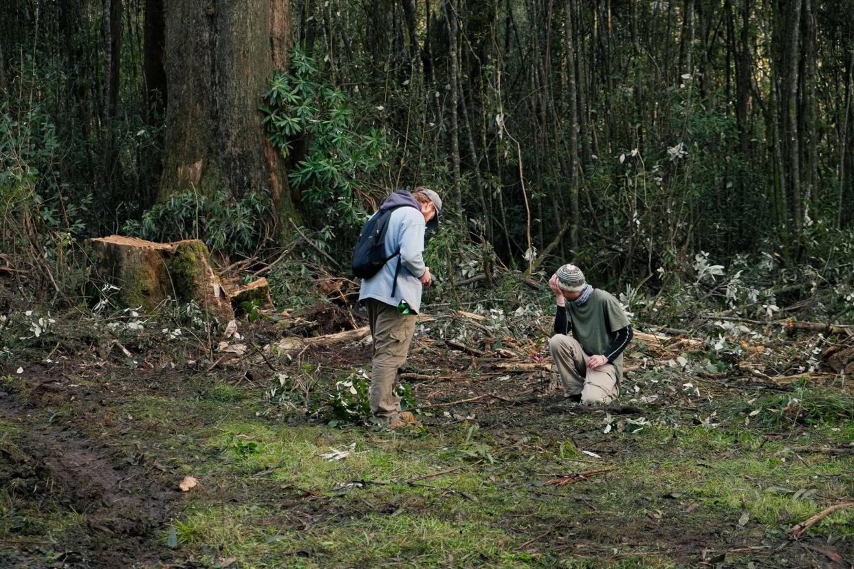 Blake Nisbet (right) with his head in his hand. Another man looks over him. They are in the Yarra Rangers National Park next to a felled tree.