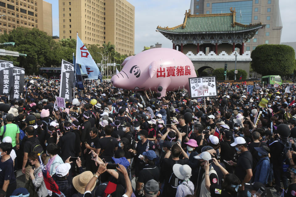 People hold a pig model "Betray pig farmers" written on it during a protest in Taipei, Taiwan, Sunday, Nov. 22. 2020. Thousands of people marched in streets on Sunday demanding the reversal of a decision to allow U.S. pork imports into Taiwan, alleging food safety issues. (AP Photo/Chiang Ying-ying)