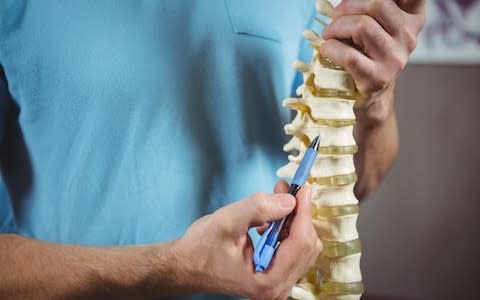 Humans cannot regenerate their spinal cord and will lose movement below an injury  - Credit: Alamy 