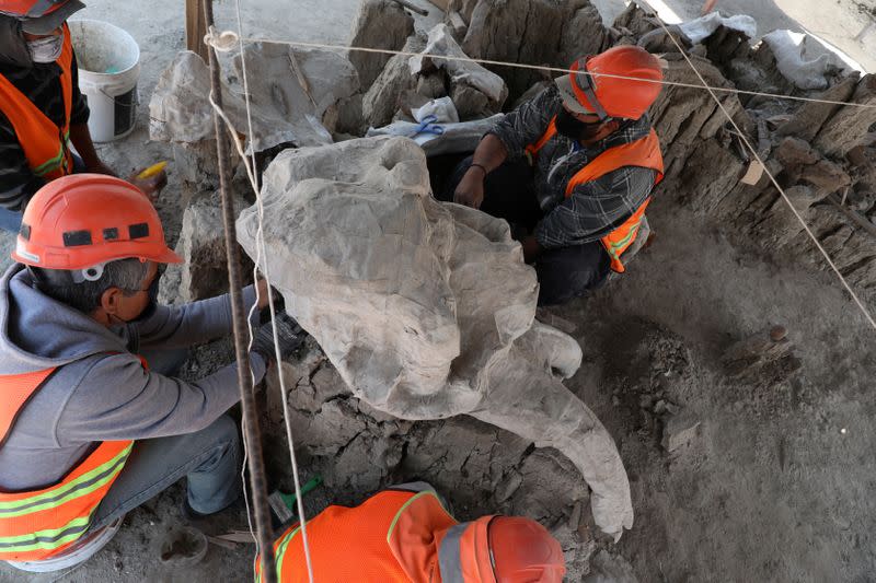 Archaeologists from the National Institute of Anthropology and History (INAH) work at a site where they are unearthing remains of mammoths, in Zumpango