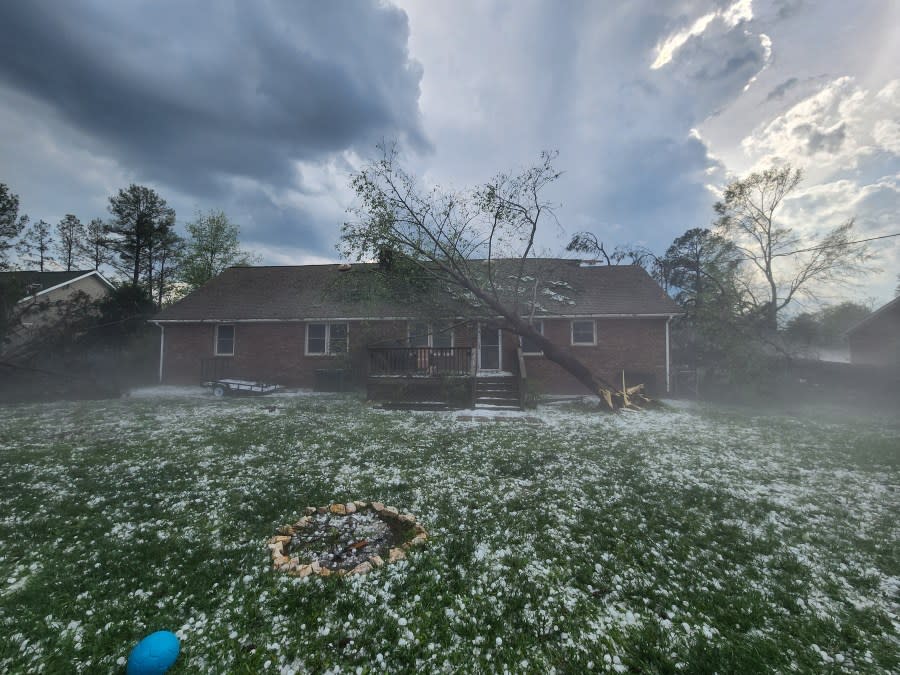 Storm damage (Chatham McKinny)