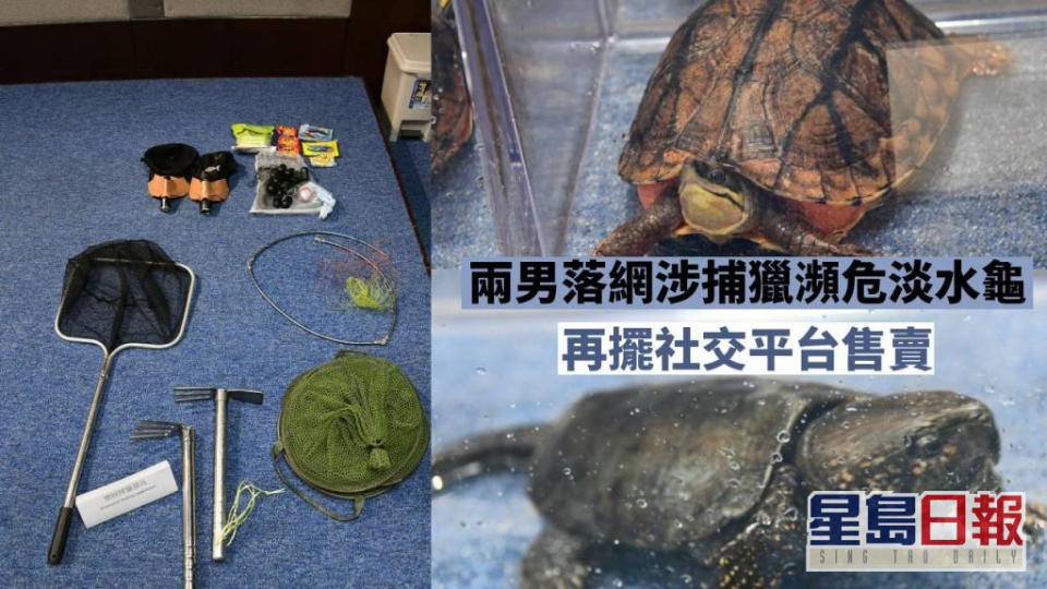 兩名男子涉嫌捕獵瀕危淡水龜售賣落網。