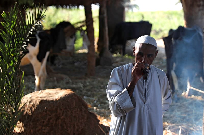 Mohamed Abdel-Wahab, a farmer, drinks tea before an interview with Reuters at his farmland in Comer village in Esna, south of Luxor