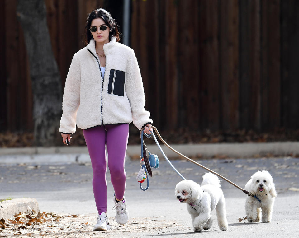 <p>Lucy Hale keeps her pups close during a walk in Los Angeles on Dec. 21.</p>