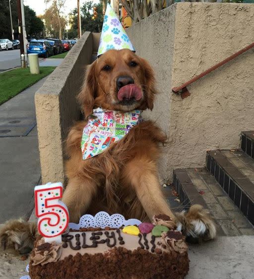 Riley pictured celebrating his fifth birthday in style earlier this year (Instagram/@itsrileysworld)