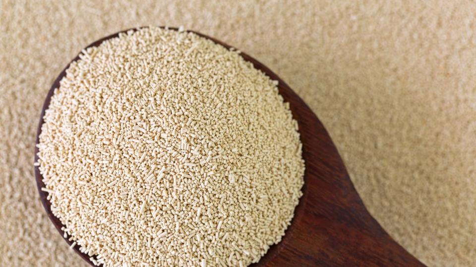 active dry baking yeast granules in wooden spoon