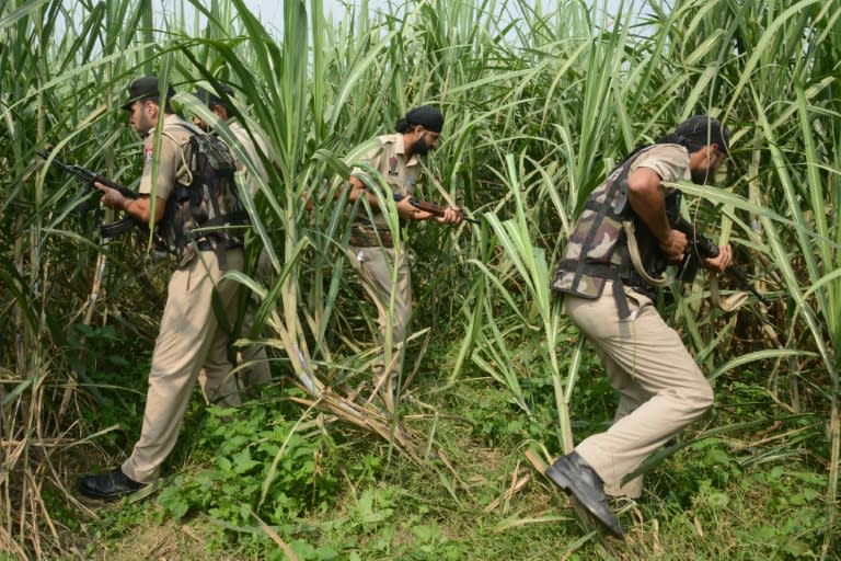 Indian police conduct search operations in a sugar-cane field near the Pakistan border on October 3, 2016