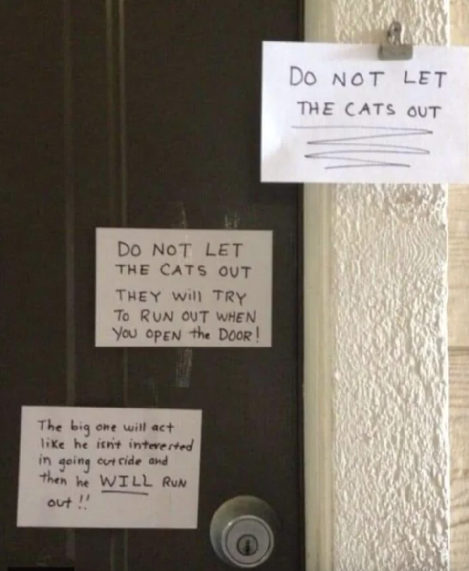 multiple notes left by a door that read don't let the cat out