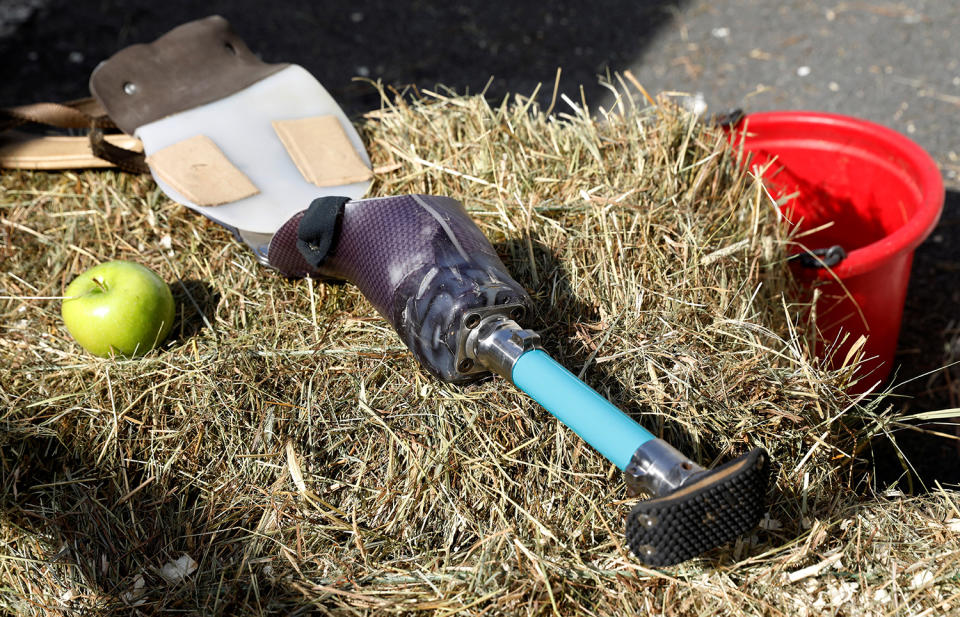 <p>Die Beinprothese, die Derrick Campana von Animal Ortho Care für Angel Marie, ein dreibeiniges Pony, angefertigt hat, liegt auf einem Heuballen in Sterling, Virginia, 27. März 2017. (Kevin Lamarque/Reuters) </p>