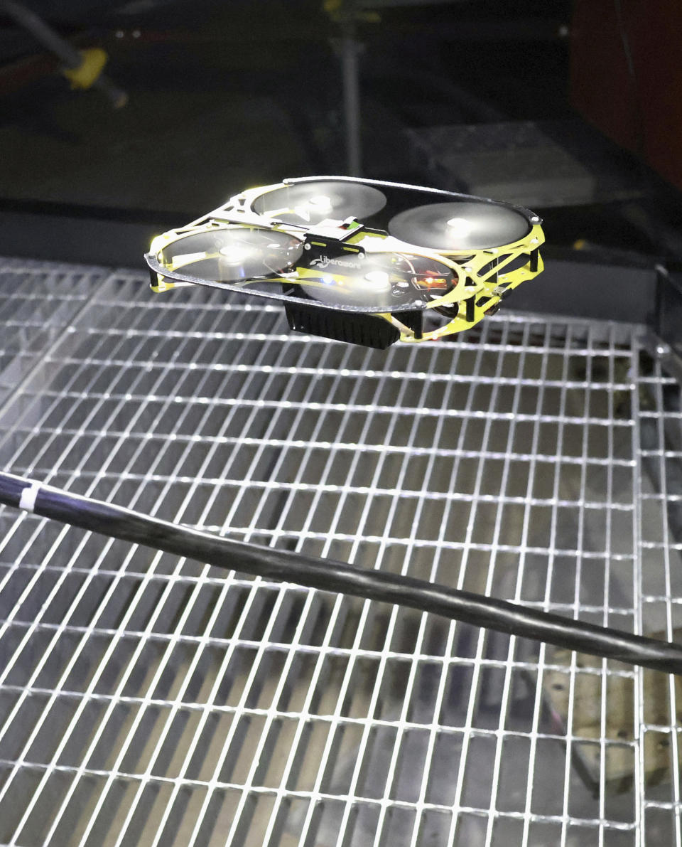 FILE - This photo shows a drone designed to probe at the crippled Fukushima Daiichi nuclear power plant, while in demonstration in Naraha town, northeast of Japan, Tuesday, Jan. 23, 2024. Images taken by miniature drones from deep inside a badly damaged reactor at the Fukushima nuclear plant show displaced control equipment and misshapen materials but leave many questions unanswered, underscoring the daunting task of decommissioning the plant.(Daisuke Kojima/Kyodo News via AP, File)