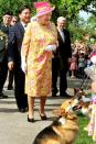 <p>The queen adores her pets, especially corgis, so it's no surprise she chatted with corgi dog owners when she left the Government House in Winnipeg, Canada. Naturally, Queen Elizabeth wore a vibrant floral printed dress, matching hat, a pearl necklace, and white gloves for the visit. <br></p>