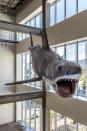 <p>The full-sized shark model from <em>Jaws</em> is suspended above a set of escalators, for an extra thrill. </p>