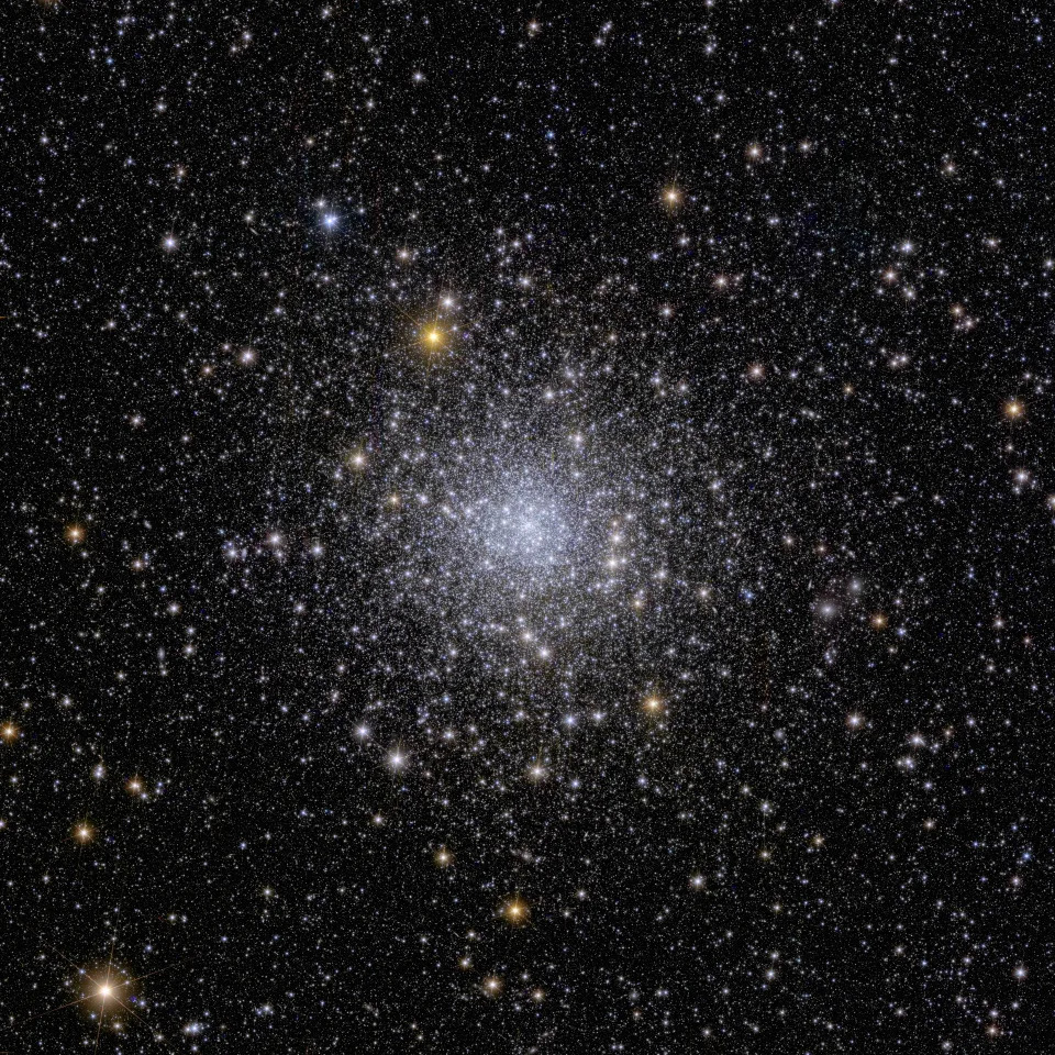 Euclid spacecraft's view of the Globular cluster NGC 6397

