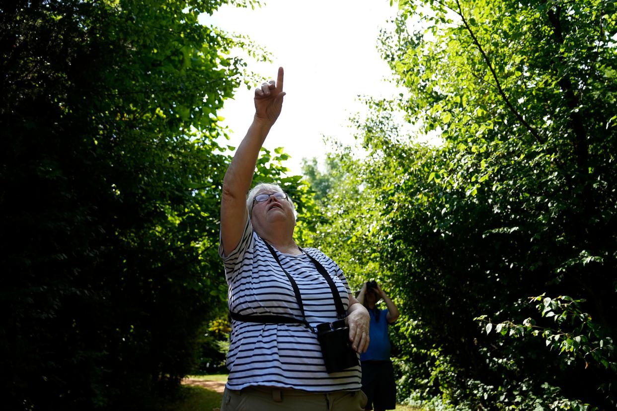 Guide Suzan Jervey points out birds during a birdwatching for beginners tour July 2 at Scioto Audubon Metro Park in Columbus.