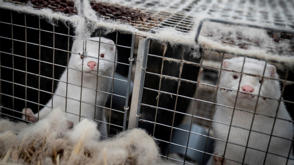 Ritzau Scanpix/Mads Claus Rasmussen via Reuters